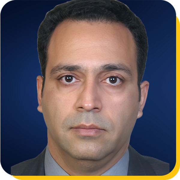 Amin Foroughi Image