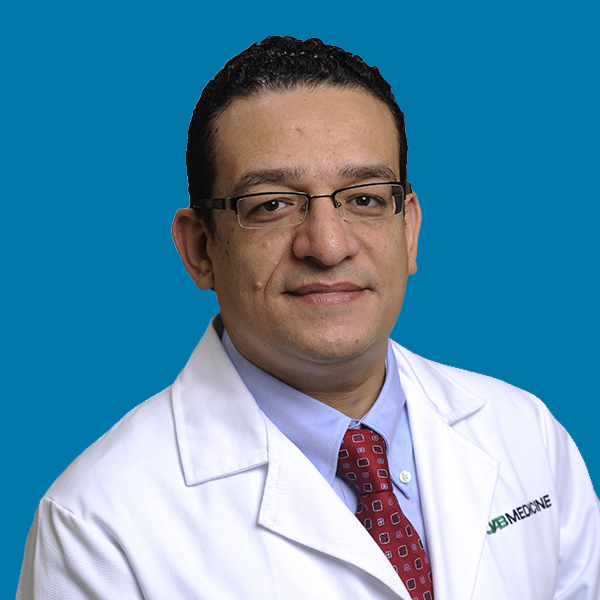 Ahmed Kamel Abdel Aal