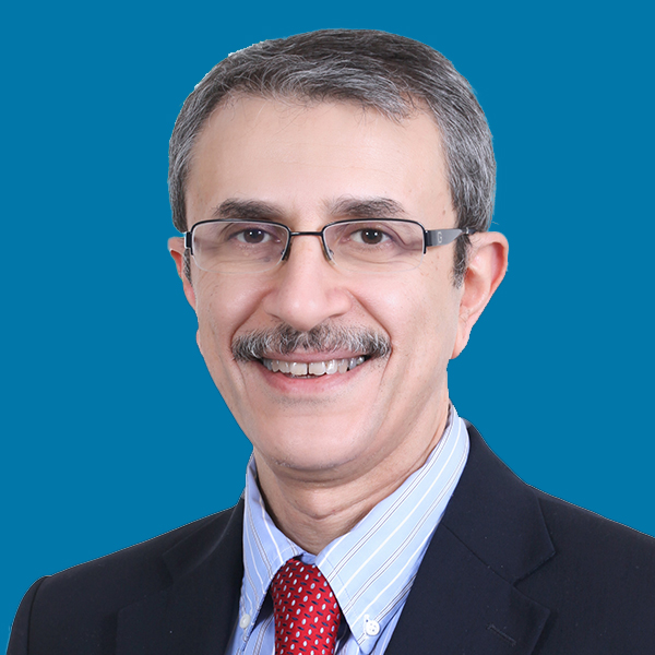 Mohamad Hamady